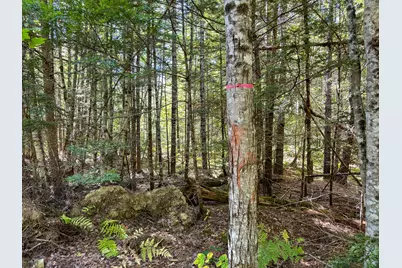 194 Seboeis Road, Howland, ME 04448 - Photo 25