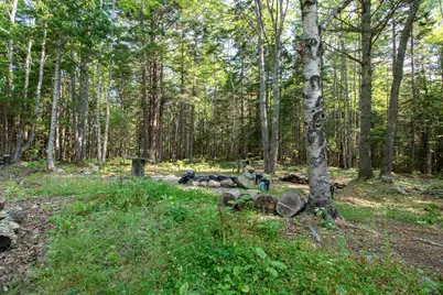 14 Pinkie Lane, Southport, ME 04576 - Photo 45