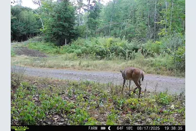 Lot 3 & 4 Nason Hill Road, Dixmont, ME 04932 - Photo 27