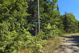 144 Frost Mill Rd, Mariaville, ME 04605 - Photo 1