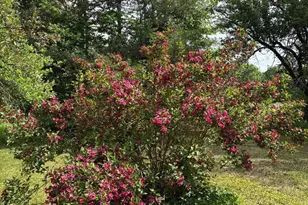 549 Hudson Rd, Glenburn, ME 04401 - Photo 31