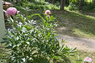 549 Hudson Rd, Glenburn, ME 04401 - Photo 33