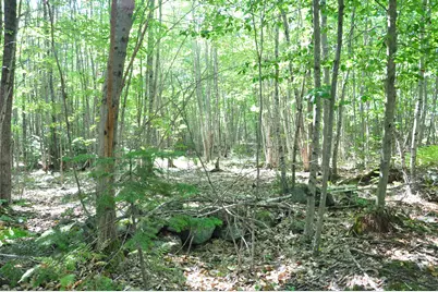 1765 Ohio Street, Bangor, ME 04401 - Photo 17