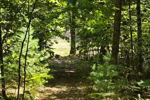 331 Beans Corner Rd, New Sharon, ME 04955 - Photo 39