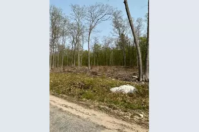 Lot 17 Birch Circle, Harrison, ME 04040 - Photo 5