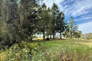 82 County Rd, Eastport, ME 04631 - Photo 7