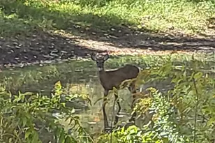 965 Industry Rd, Farmington, ME 04938 - Photo 51