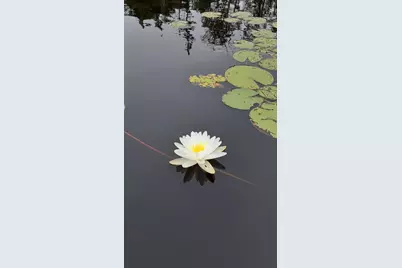 2 and 3 Blue Heron Lane, Winslow, ME 04901 - Photo 33