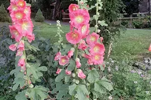 2 and 3 Blue Heron Ln, Winslow, ME 04901 - Photo 35