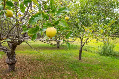 12 Country Charm Lane, New Gloucester, ME 04260 - Photo 39