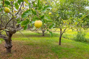 12 Country Charm Ln, New Gloucester, ME 04260 - Photo 39