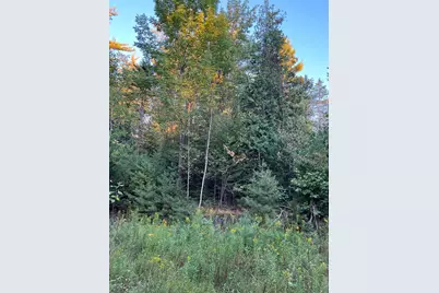 87 Thistle Road, Milford, ME 04461 - Photo 5