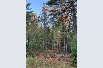 87 Thistle Road, Milford, ME 04461 - Photo 3