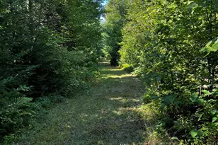 Lot 5-5 4 Bushey Rd, Greenville, ME 04441 - Photo 1