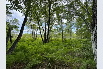 Map20Lot19 Carter Hill Road, Fryeburg, ME 04037 - Photo 11