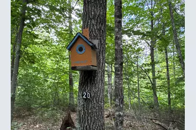 Map20Lot19 Carter Hill Road, Fryeburg, ME 04037 - Photo 15