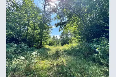 Map20Lot19 Carter Hill Road, Fryeburg, ME 04037 - Photo 17