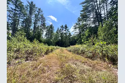 Map20Lot19 Carter Hill Road, Fryeburg, ME 04037 - Photo 19