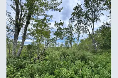 Map20Lot19 Carter Hill Road, Fryeburg, ME 04037 - Photo 13