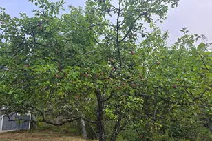 563 Newbury Neck Rd, Surry, ME 04684 - Photo 59