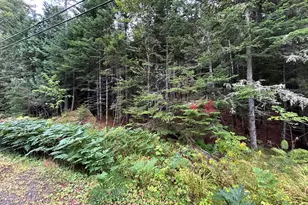 4 Gilbert Cir, Rangeley, ME 04970 - Photo 29