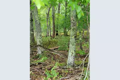 Lot #13-1 Shore Road, Ellsworth, ME 04605 - Photo 23