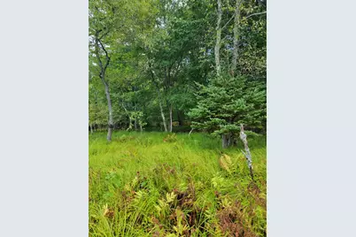 Lot #13-1 Shore Road, Ellsworth, ME 04605 - Photo 25
