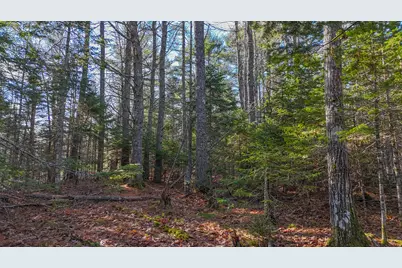 Lot #13-1 Shore Road, Ellsworth, ME 04605 - Photo 41