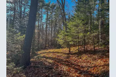 Lot #13-1 Shore Road, Ellsworth, ME 04605 - Photo 31