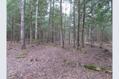 052 Bradbury Ridge Rd Off Averill, Dixfield, ME 04224 - Photo 13