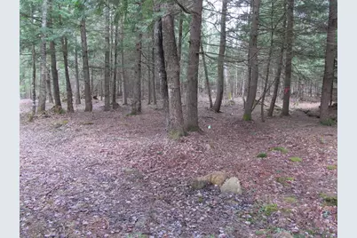 052 Bradbury Ridge Rd Off Averill, Dixfield, ME 04224 - Photo 9