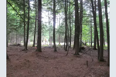 052 Bradbury Ridge Rd Off Averill, Dixfield, ME 04224 - Photo 39