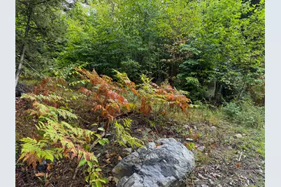 Lot 8 & 9 Moores Road, Springfield, ME 04487 - Photo 11