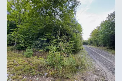 Lot 8 & 9 Moores Road, Springfield, ME 04487 - Photo 9