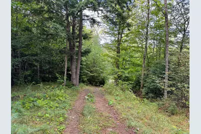 Lot 8 & 9 Moores Road, Springfield, ME 04487 - Photo 15