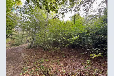 Lot 8 & 9 Moores Road, Springfield, ME 04487 - Photo 17