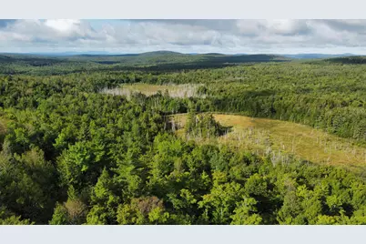 Lot 8 & 9 Moores Road, Springfield, ME 04487 - Photo 5