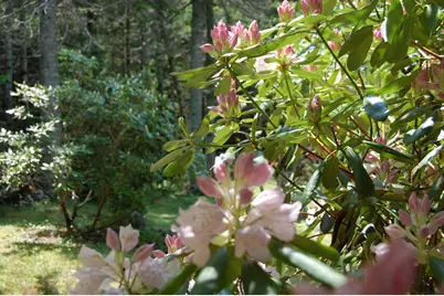 48 Kingsley Farm Road, Gouldsboro, ME 04607 - Photo 29