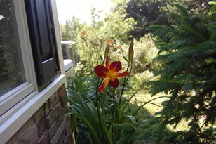 48 Kingsley Farm Rd, Gouldsboro, ME 04607 - Photo 17