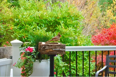 48 Kingsley Farm Road, Gouldsboro, ME 04607 - Photo 5