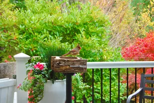 48 Kingsley Farm Rd, Gouldsboro, ME 04607 - Photo 5