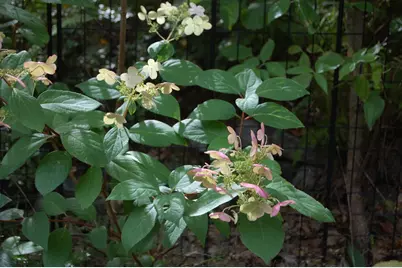 48 Kingsley Farm Road, Gouldsboro, ME 04607 - Photo 25