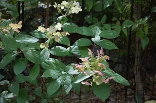 48 Kingsley Farm Rd, Gouldsboro, ME 04607 - Photo 25