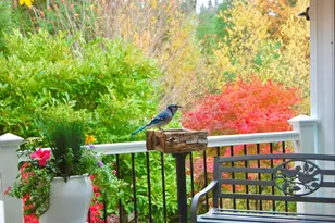 48 Kingsley Farm Rd, Gouldsboro, ME 04607 - Photo 13