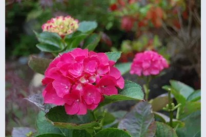 48 Kingsley Farm Road, Gouldsboro, ME 04607 - Photo 23