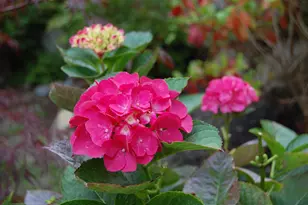 48 Kingsley Farm Rd, Gouldsboro, ME 04607 - Photo 23