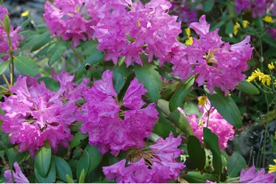 48 Kingsley Farm Road, Gouldsboro, ME 04607 - Photo 31