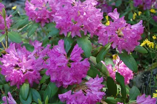 48 Kingsley Farm Rd, Gouldsboro, ME 04607 - Photo 31