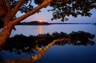 71 Merganser Way, Freeport, ME 04032 - Photo 87