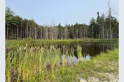 10 Pine Hill Road, Wesley, ME 04686 - Photo 31